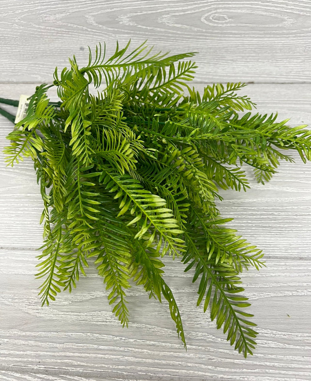 Green fern, greenery x 2 bushes - Greenery Marketgreenery43221