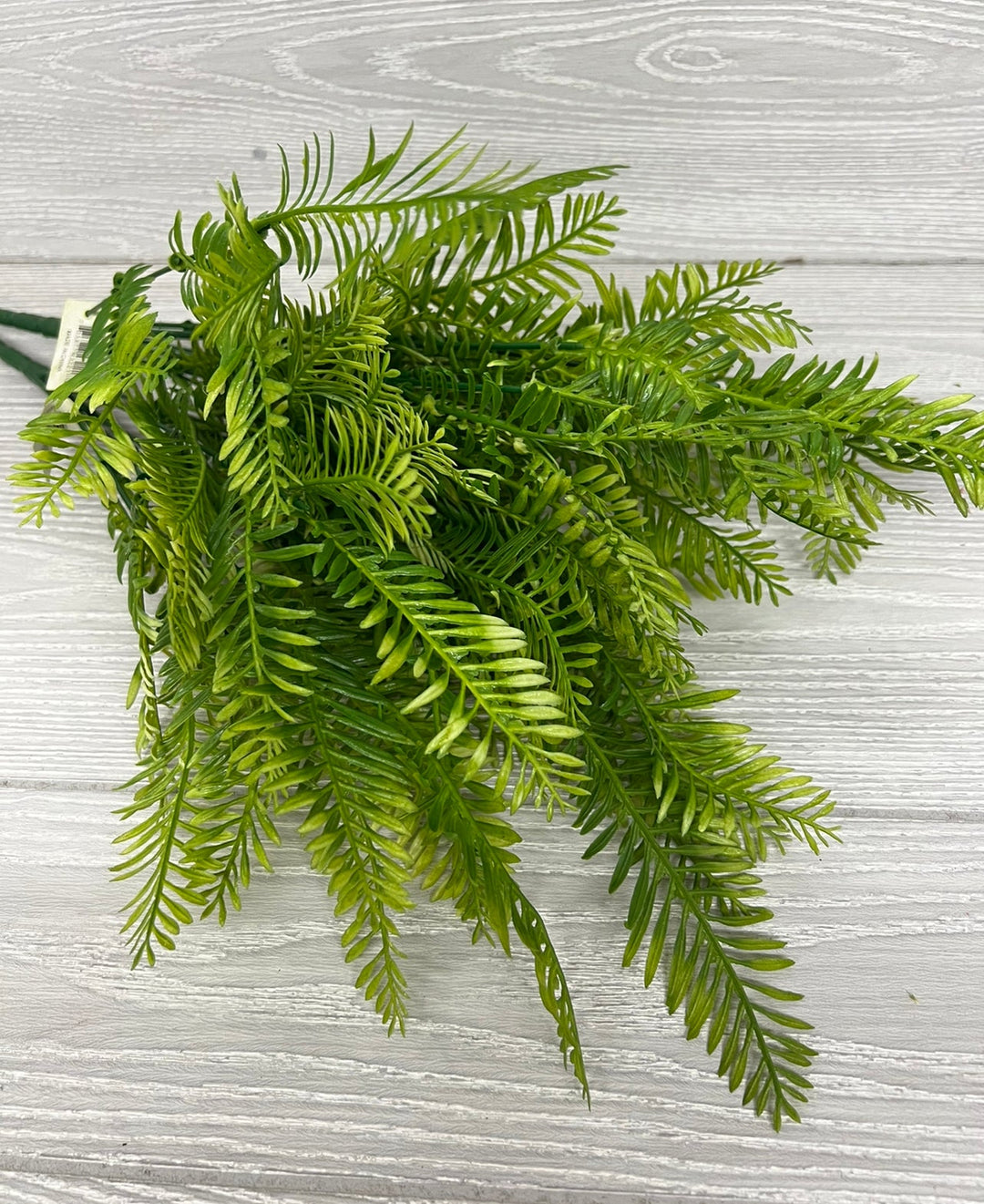 Green fern, greenery x 2 bushes - Greenery Marketgreenery43221