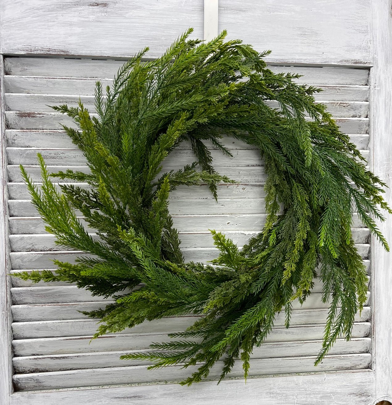 Green flocked Cedar wreath - Greenery Market26463