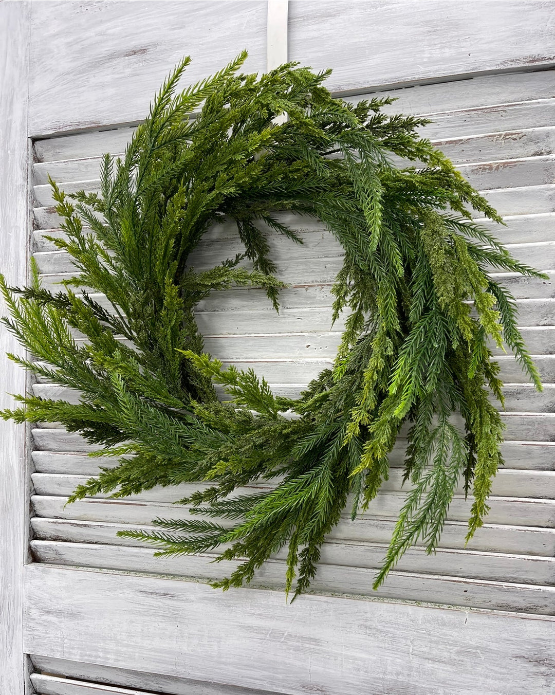 Green flocked Cedar wreath - Greenery Market26463