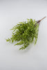Green nandina leaf greenery bush - Greenery Marketspring summer greeneryfl3716-g