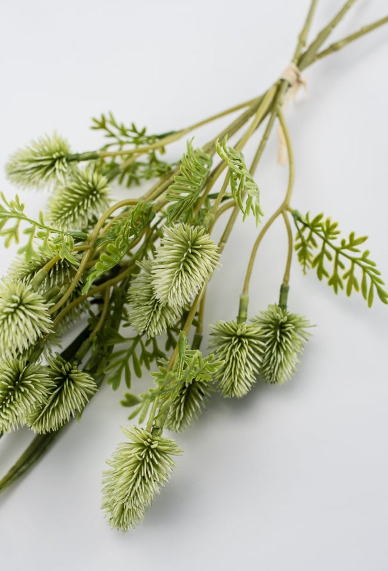 Green thistle bundle x4 - Greenery Market