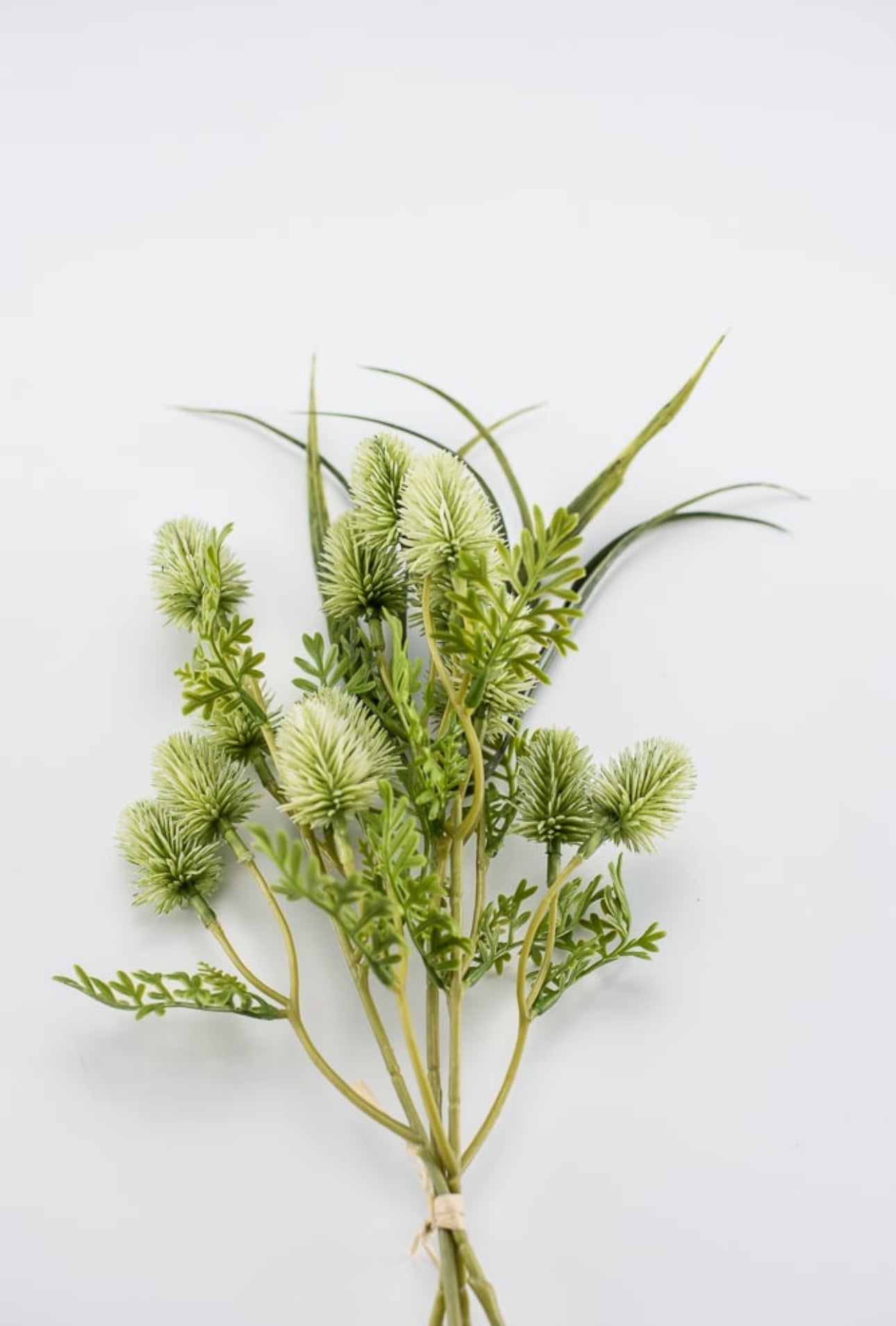 Green thistle bundle x4 - Greenery Market