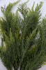 Greenery market everyday feather fern - Greenery MarketArtificial FloraGM3112gn