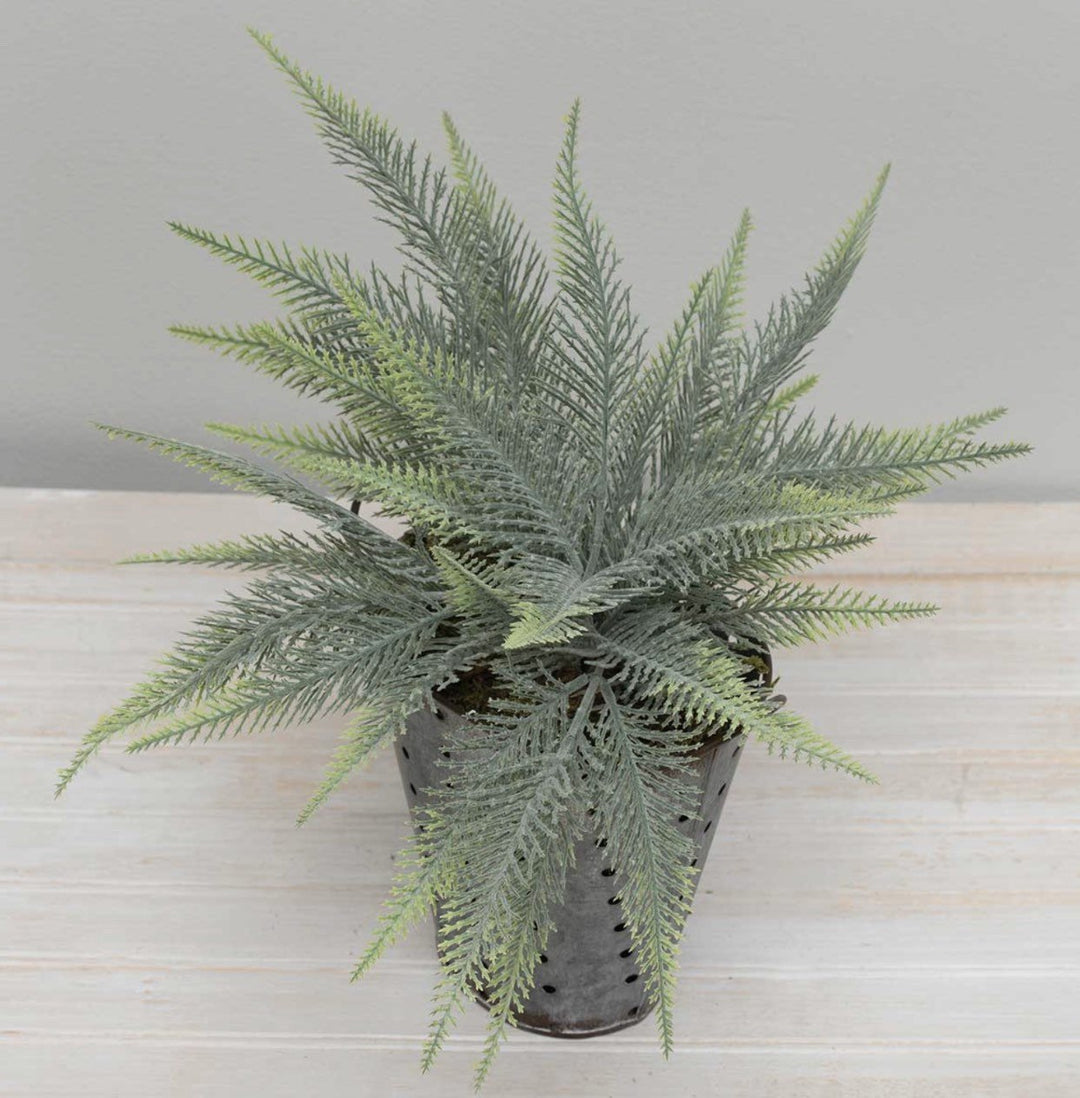 Grey/green Fern Bush, Greenery bush - Greenery MarketgreeneryE1798