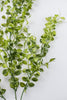 Hanging button leaves bush - Greenery MarketArtificial Flora13183GN