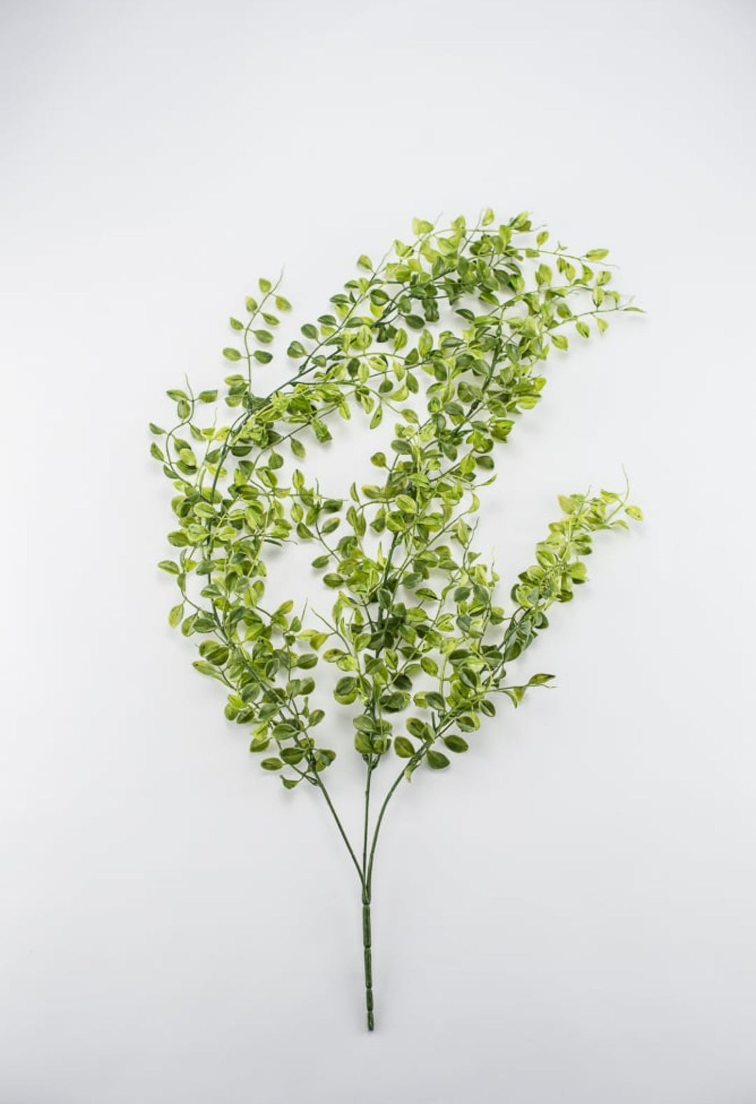 Hanging button leaves bush - Greenery MarketArtificial Flora13183GN