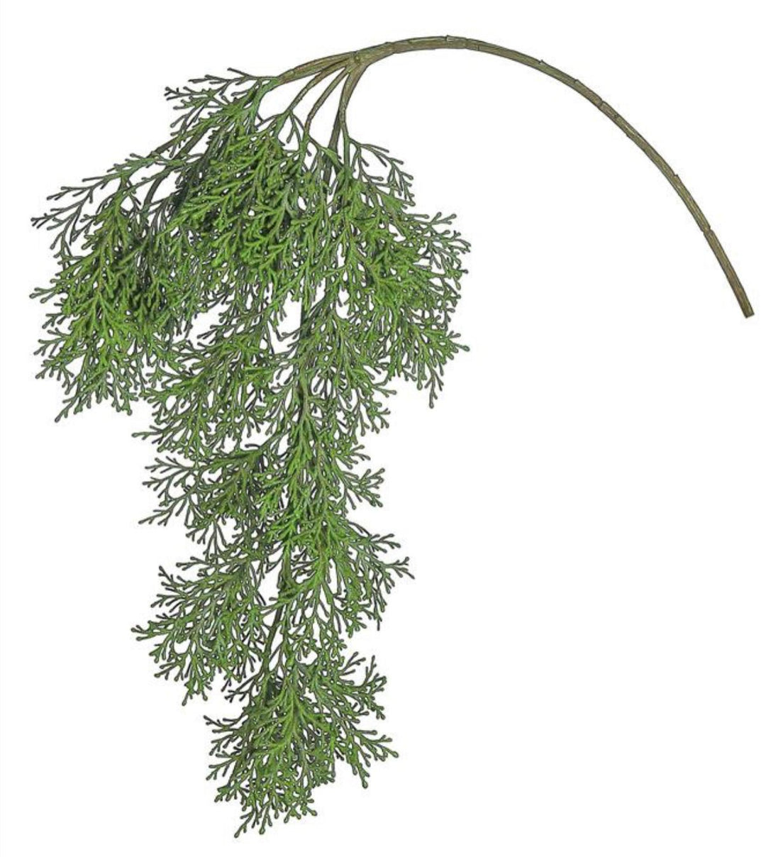 Hanging cedar spray - Greenery MarketXD611-g