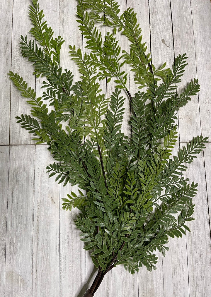 Hanging forest fern bush, Greenery - Greenery Marketspring summer greenery25793