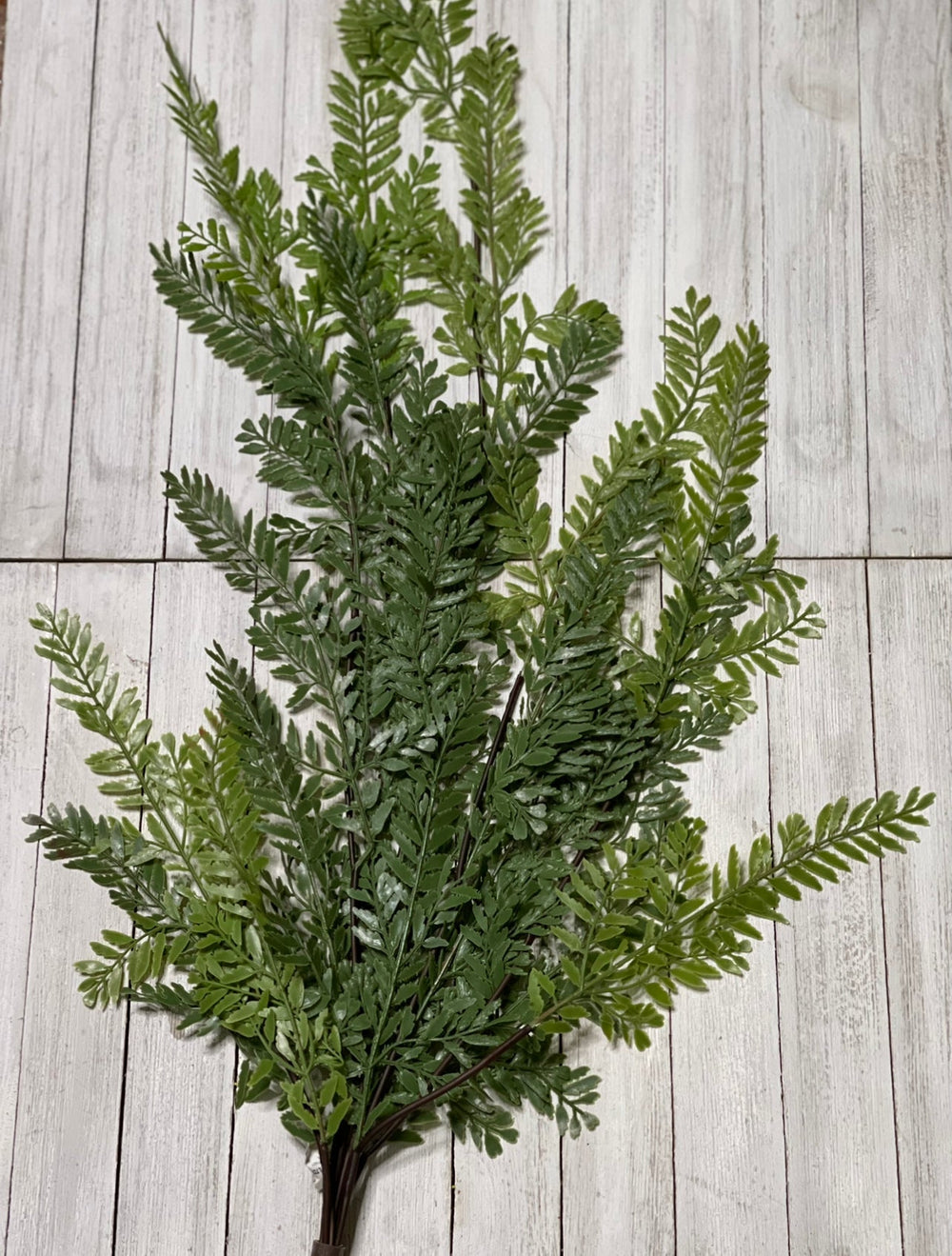 Hanging forest fern bush, Greenery - Greenery Marketspring summer greenery25793