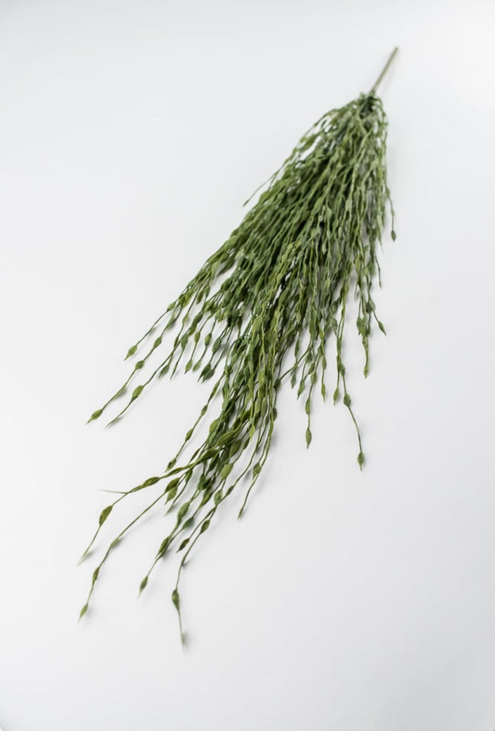 Hanging grasses bush, Greenery - Greenery Marketspring summer greenery26005