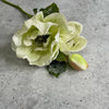 Hellebore snowy flower spray - Greenery MarketXs480