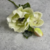 Hellebore snowy flower spray - Greenery MarketXs480
