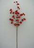 Holiday cherry blossom branch - red - Greenery Market83727-RD