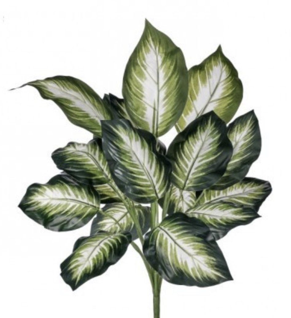 Hosta UV treated dieffencbachia bush - Greenery Market greenery
