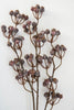 Huckleberry berry spray - weather resistant - Greenery MarketArtificial Flora26459