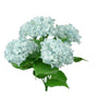 Hydrangea bush - blue - Greenery Marketartificial flowers30334LTBL