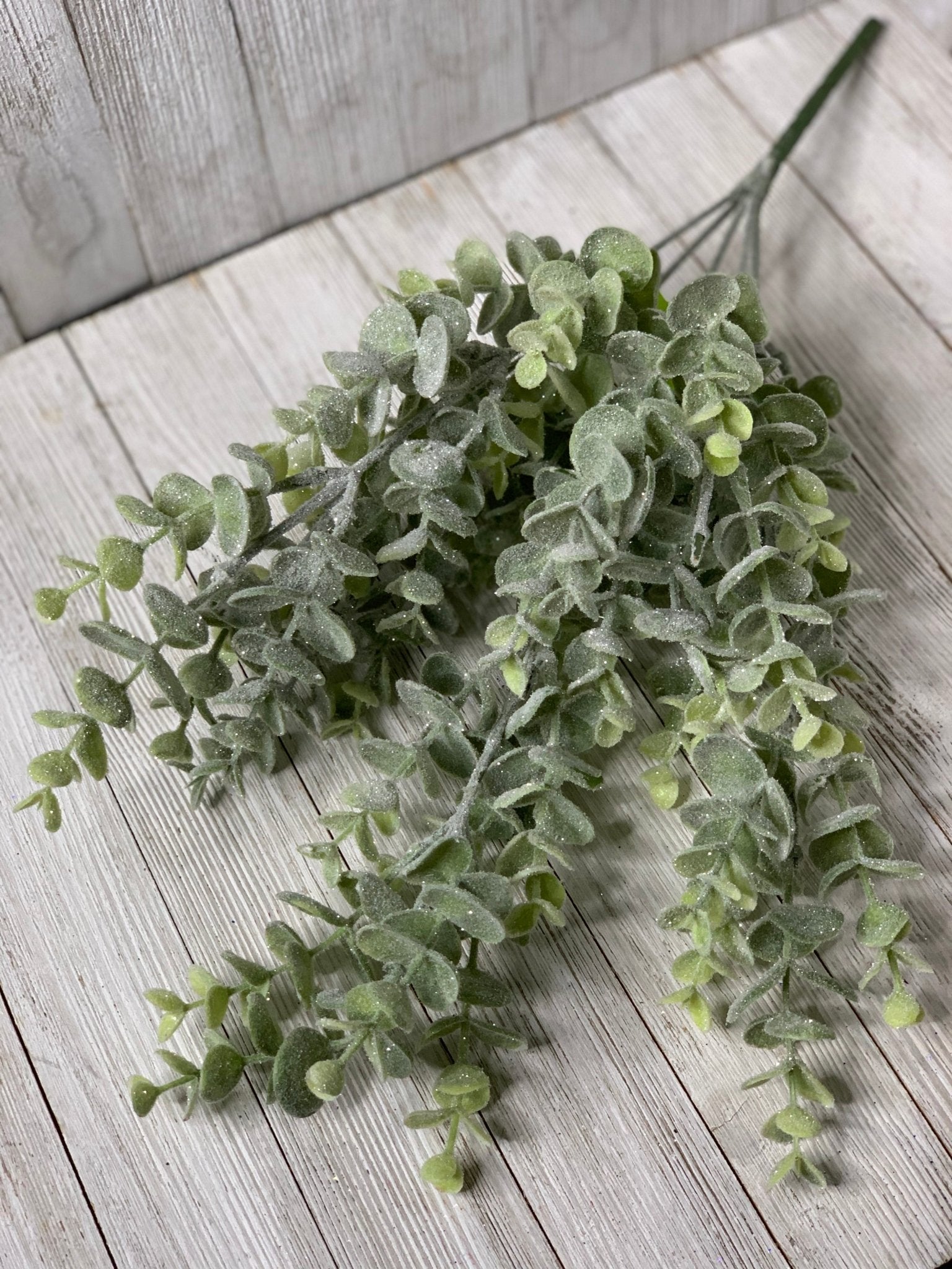 Iced eucalyptus with shimmer - Greenery Marketgreenery84995FROST