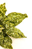 Jeweled and beaded poinsettia stem - green - Greenery MarketXg902-G