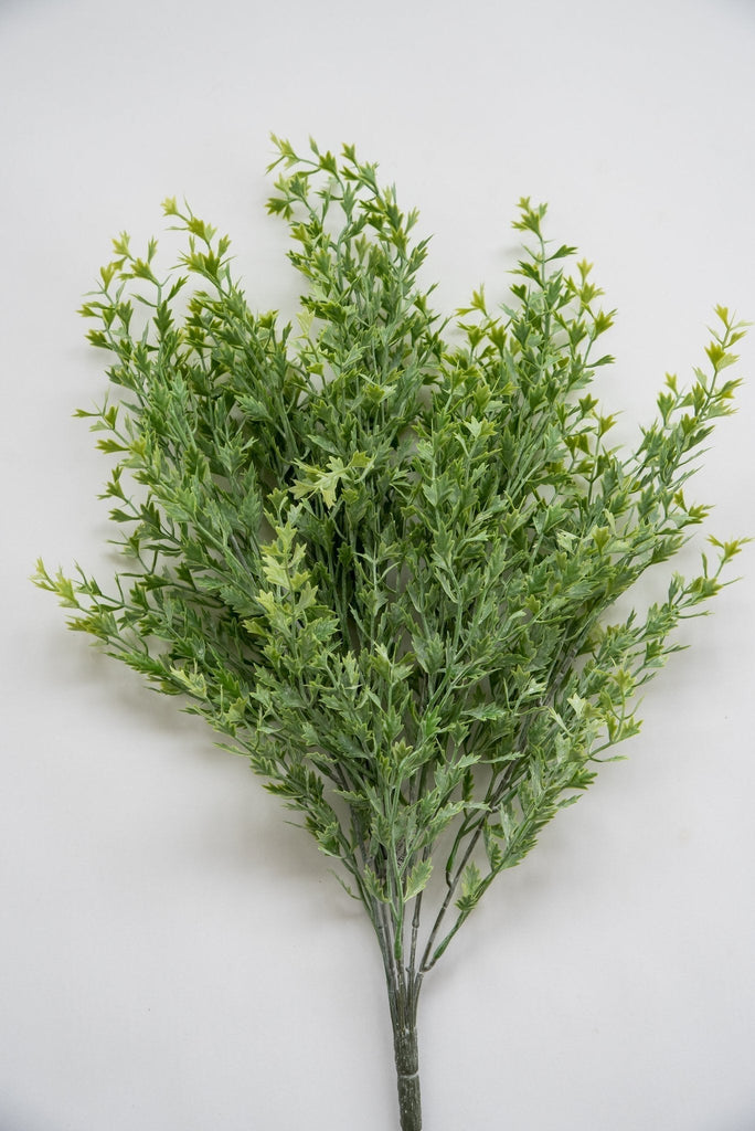 Kiwi greenery bush - 20” - Greenery Market