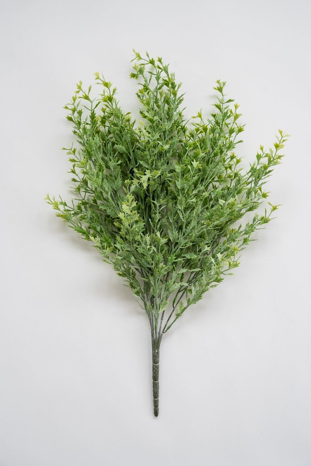 Kiwi greenery bush - 20” - Greenery Market26951