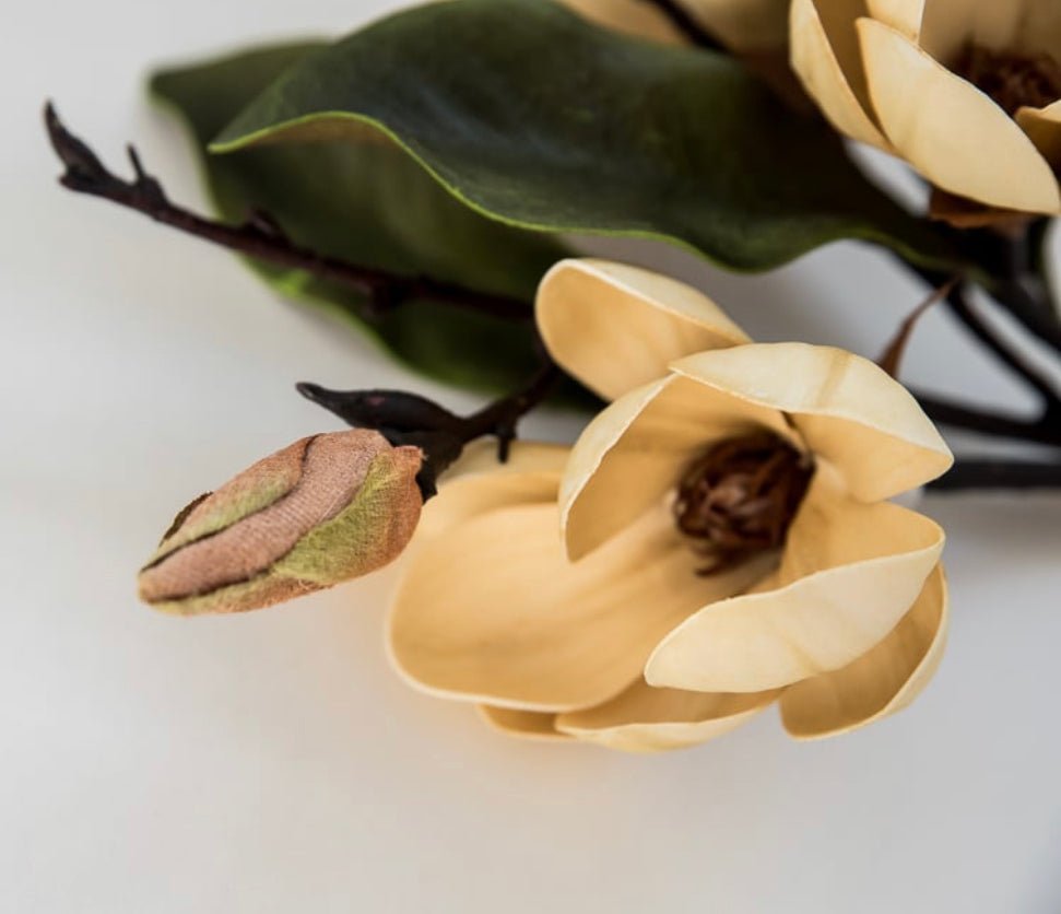 Latte Magnolia flower bundle - Greenery Market2291031GD