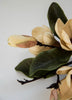 Latte Magnolia flower bundle - Greenery Market2291031GD
