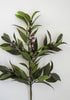 Laurel leaf berry spray - weather friendly - Greenery MarketArtificial FloraBULKBUY x6 26477