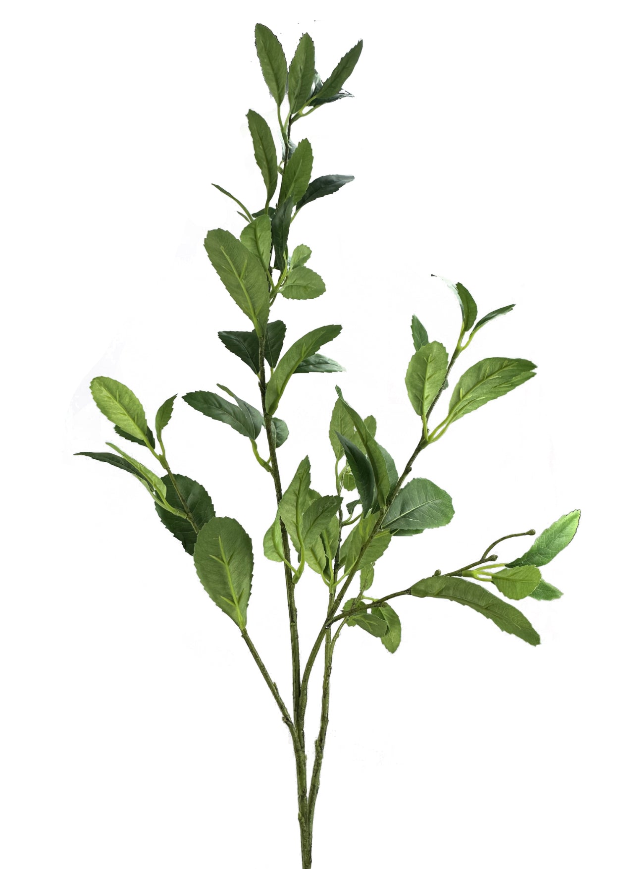 Laurel leaf spray - Greenery MarketArtificial Flora13600GN