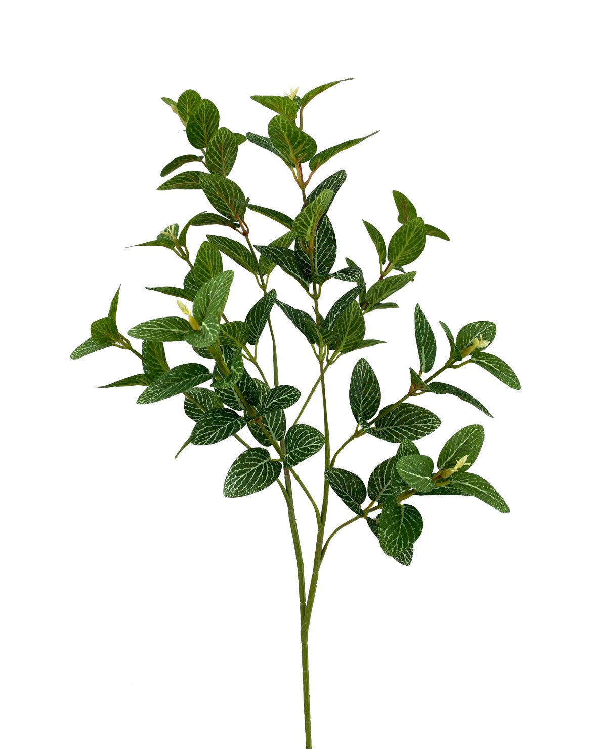Laurel leaf variegated spray - Greenery MarketArtificial Flora13580GN