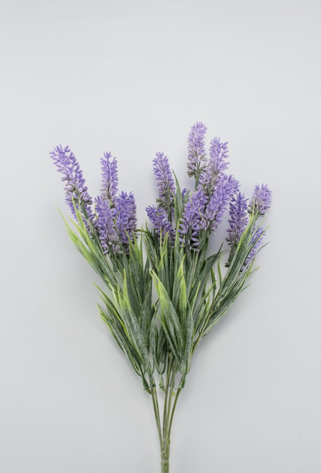 Lavender bush - lavender purple - Greenery Market26792