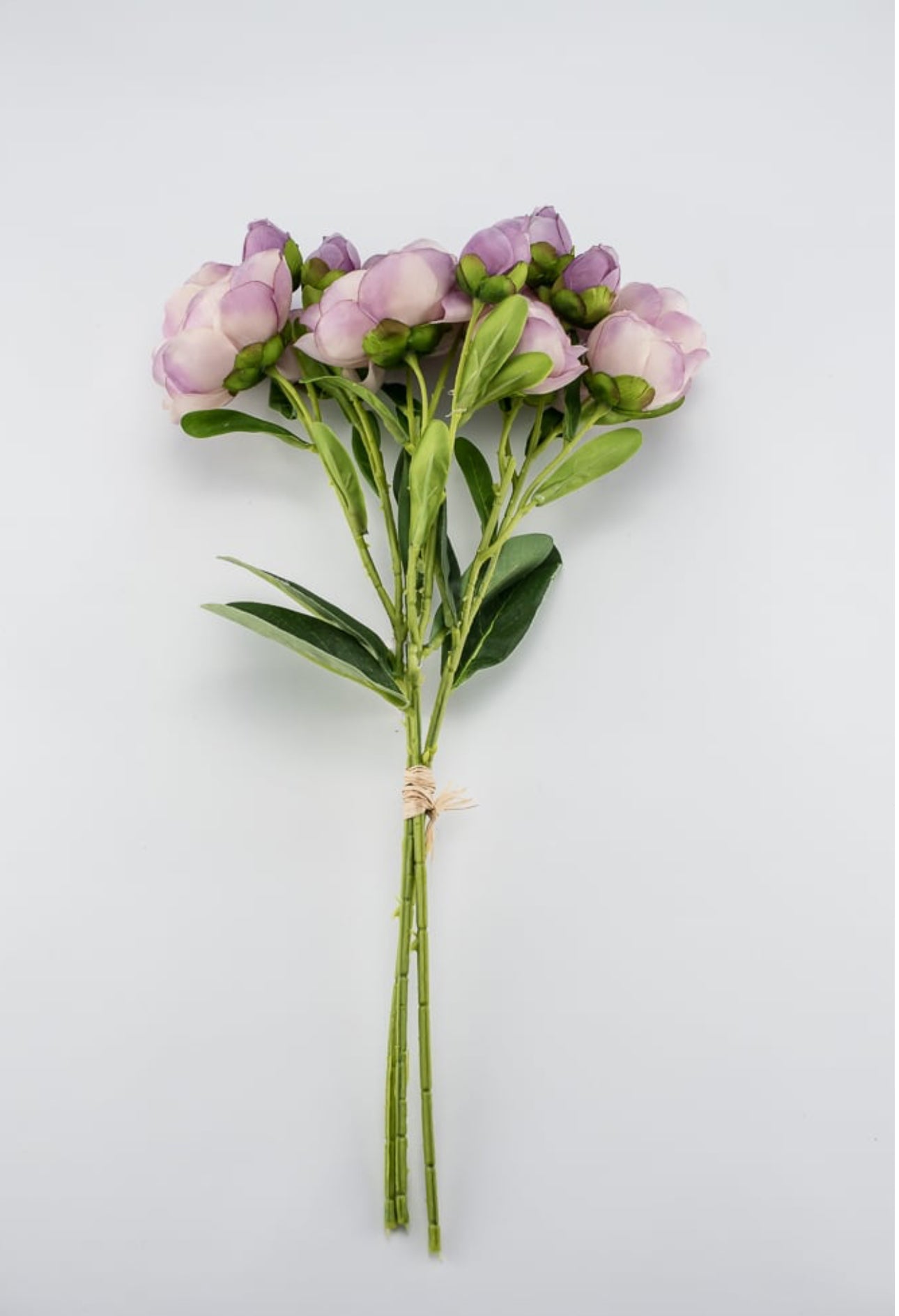 Lavender ranunculus bundle - Greenery Market