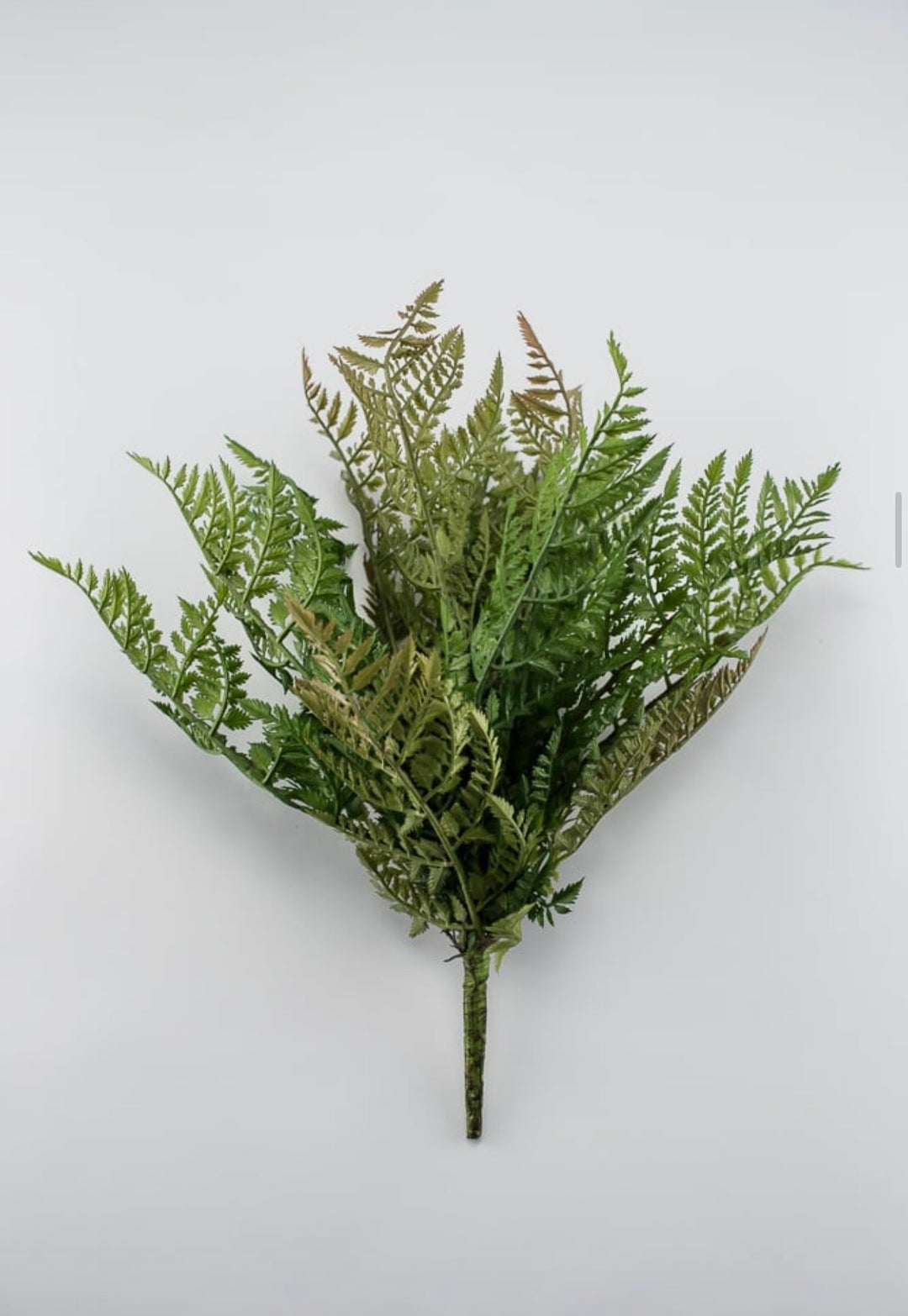 Leather leaf Artificial fern bush - Greenery Marketgreenery25947