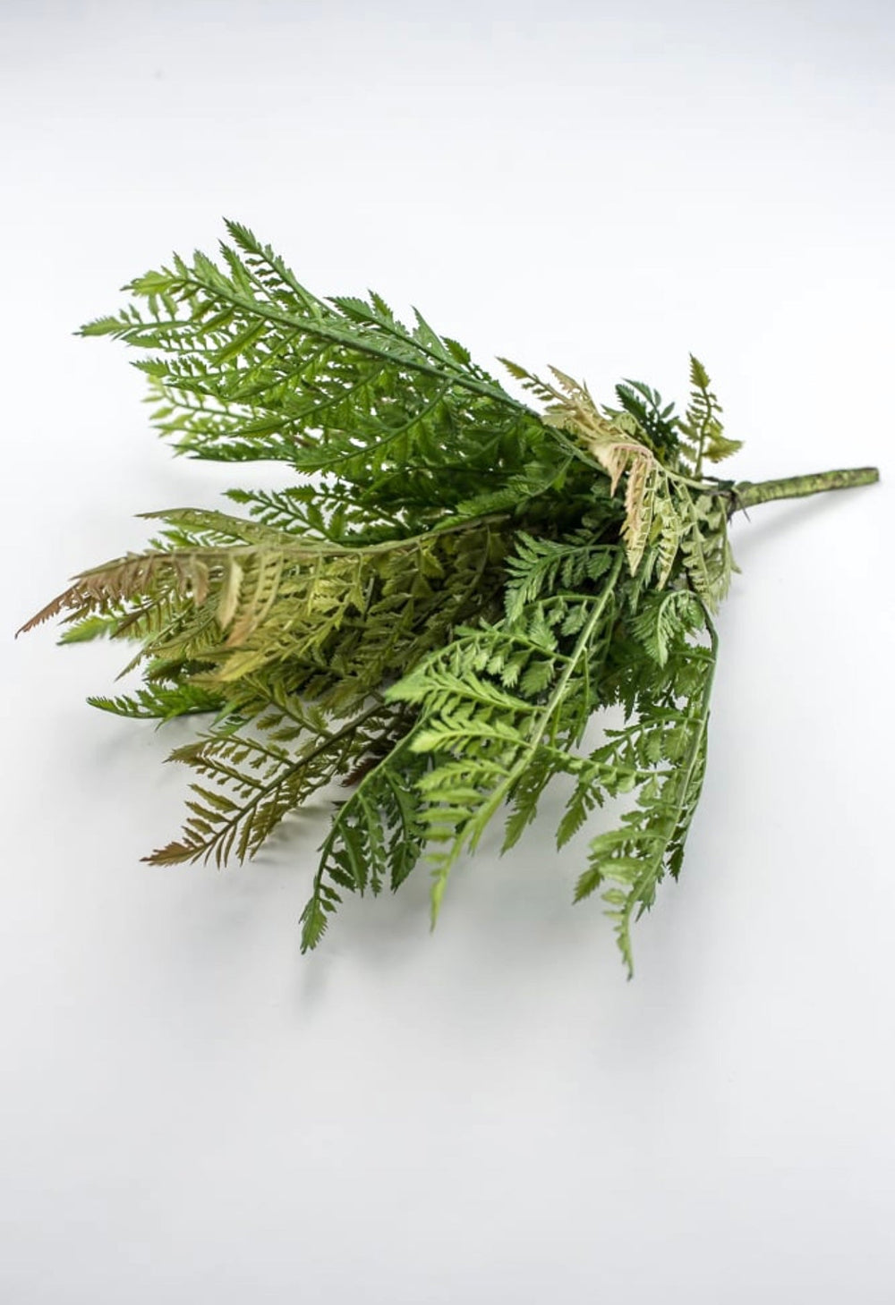 Leather leaf Artificial fern bush - Greenery Marketgreenery25947