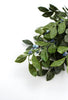 Leaves and blueberries bush - Greenery Marketartificial flowersB1594-BG
