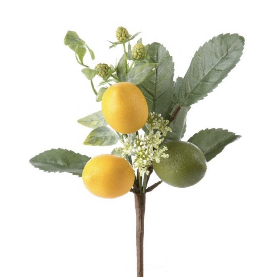 Lemon and lime with greenery pick - Greenery MarketgreeneryMTF22857