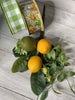 Lemon and lime with greenery pick - Greenery MarketgreeneryMTF22857
