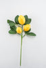 Lemon pick 62813SP16 - Greenery MarketArtificial Flora62813SP16