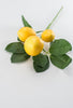 Lemon pick 62813SP16 - Greenery MarketArtificial Flora62813SP16