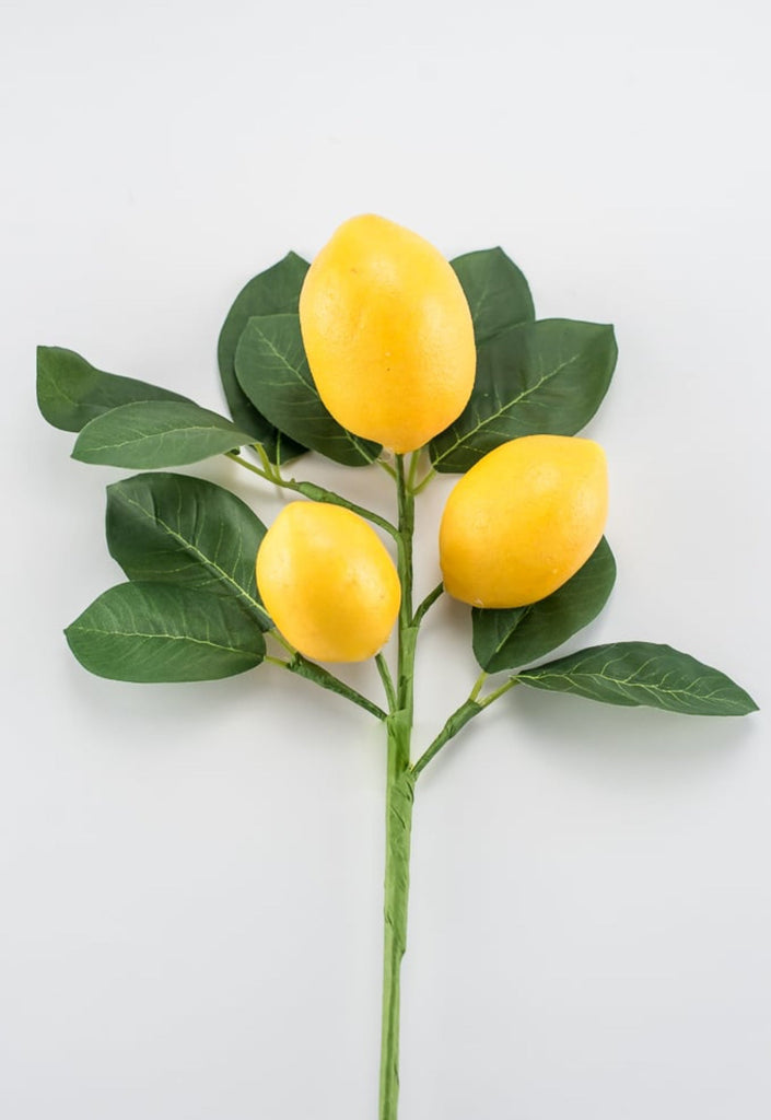 lemon-pick-62813sp1662813sp16-