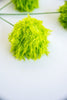 Lime Green fuzzy ball spray - Greenery MarketXP1027