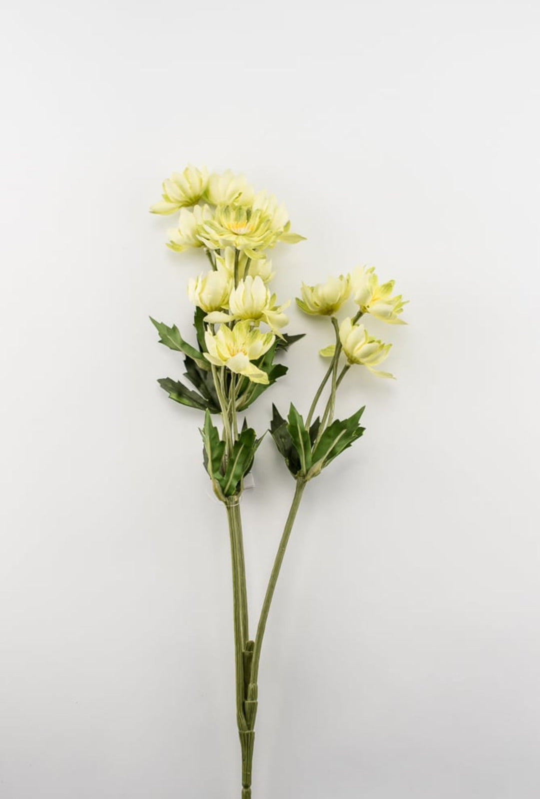 Lime green lewisia spray - Greenery Market5607-G