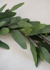 Long leaf eucalyptus garland 5’ - Greenery Market2390022SG