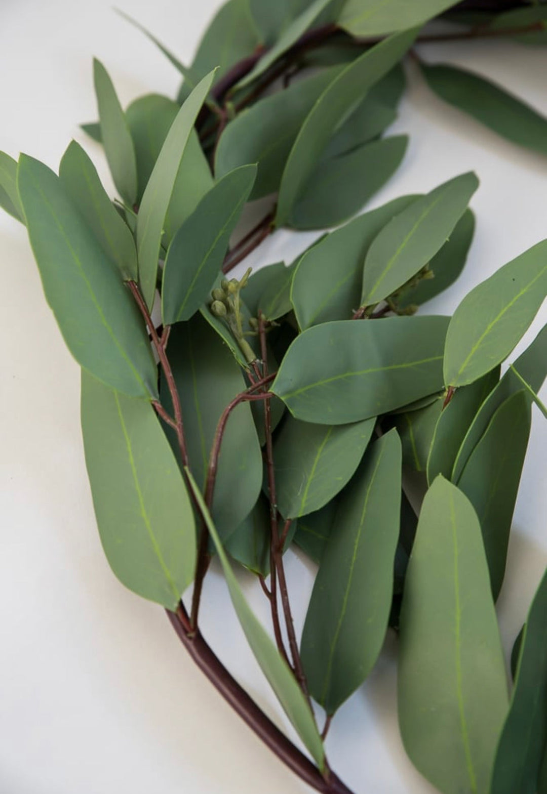 Long leaf eucalyptus garland 5’ - Greenery Market2390022SG