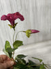 Magenta Petunia flowers, morning glory, beauty pink - Greenery Marketartificial flowers25797
