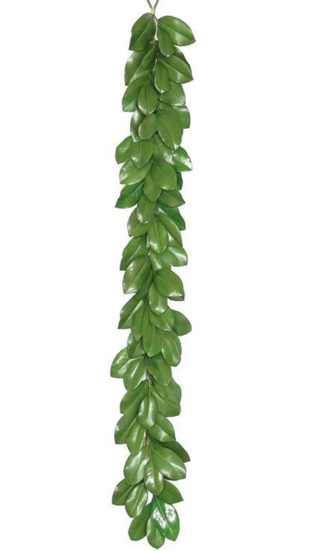 Magnolia leaf garland, 5 foot magnolia leaves - Greenery Marketspring summer greeneryFl5343-g