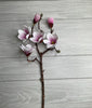 Magnolia spray - cream pink magenta - Greenery Market5566 CP
