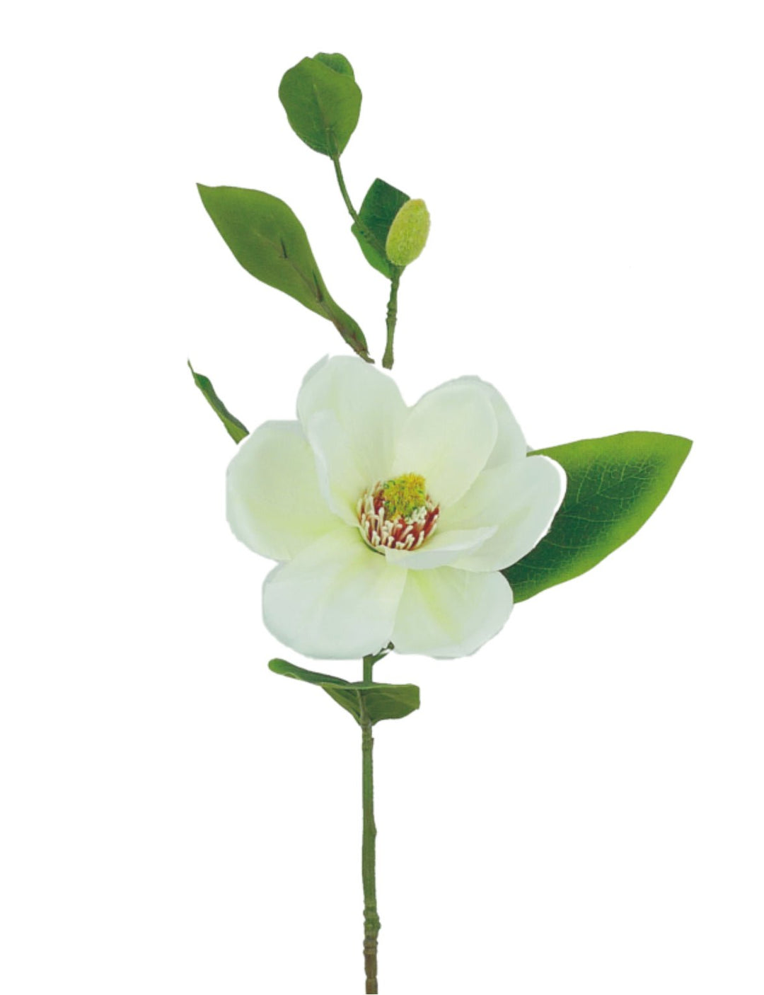Magnolia stem - Greenery MarketArtificial Flora29346CM