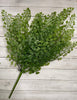 Maidenhair fern, greenery - Greenery Marketspring summer greenery25945
