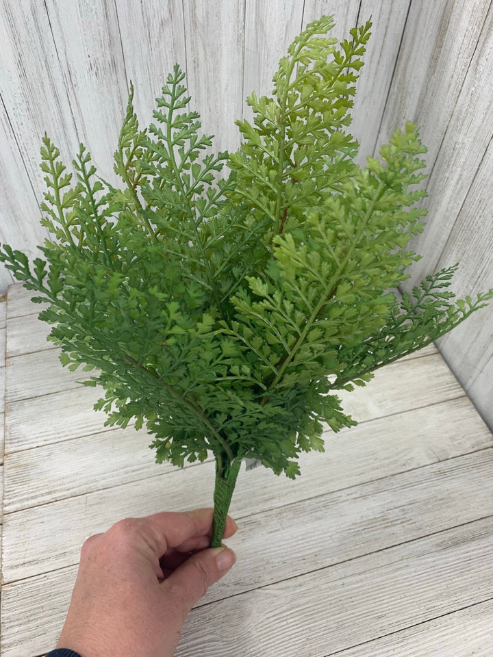 Maidenhair fern, greenery - Greenery Marketspring summer greenery25774